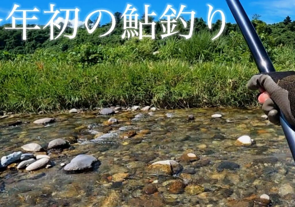 今年初の富山の川へ鮎の友釣りに行ってきました！