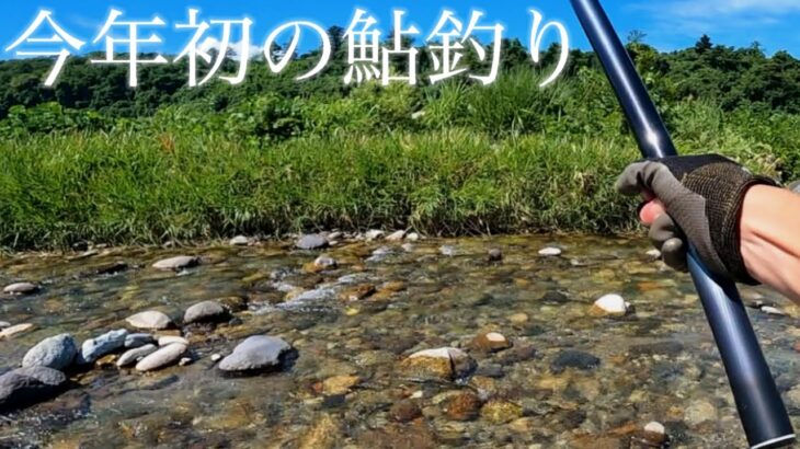 今年初の富山の川へ鮎の友釣りに行ってきました！