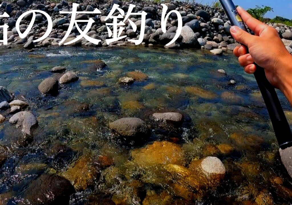 鮎の友釣りへ！釣った鮎を石の上で干して食べたら美味すぎた！