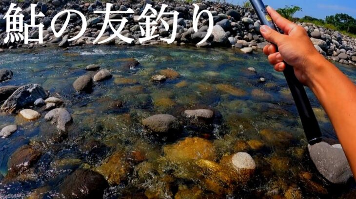鮎の友釣りへ！釣った鮎を石の上で干して食べたら美味すぎた！