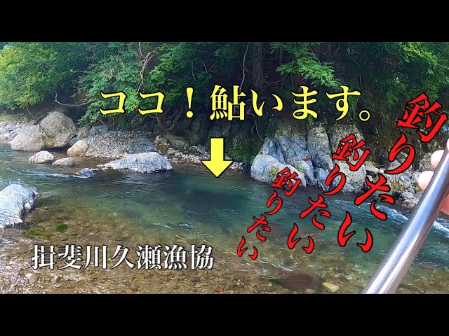 【鮎釣り】短竿勝負！？ 岐阜県揖斐川久瀬漁協 小津川