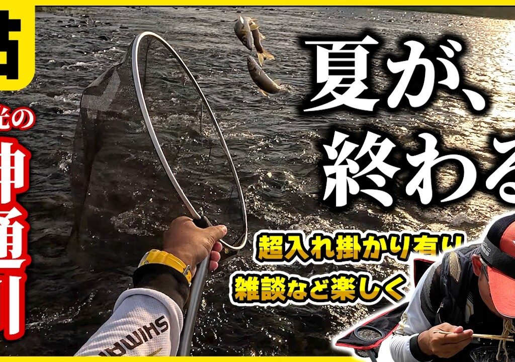 鮎釣り 夕方の超入れ掛かりを探す！雑談など楽しく神通川釣行！