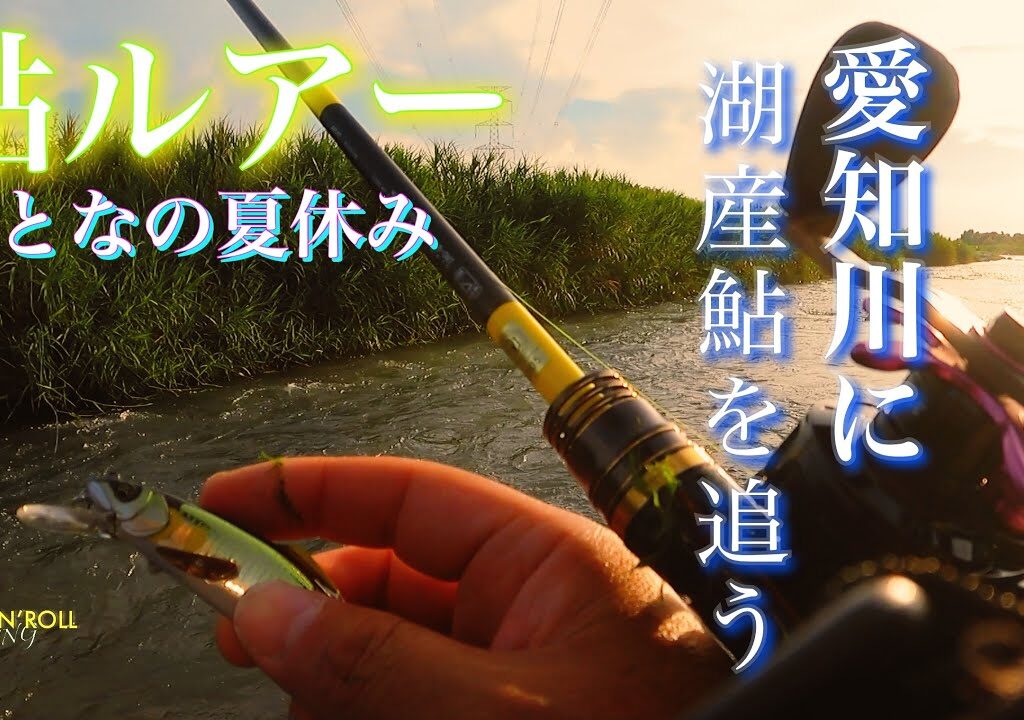 【アユイング】愛知川に湖産鮎を釣りにいく アユルアーの道 〜滋賀県 愛知川本流〜