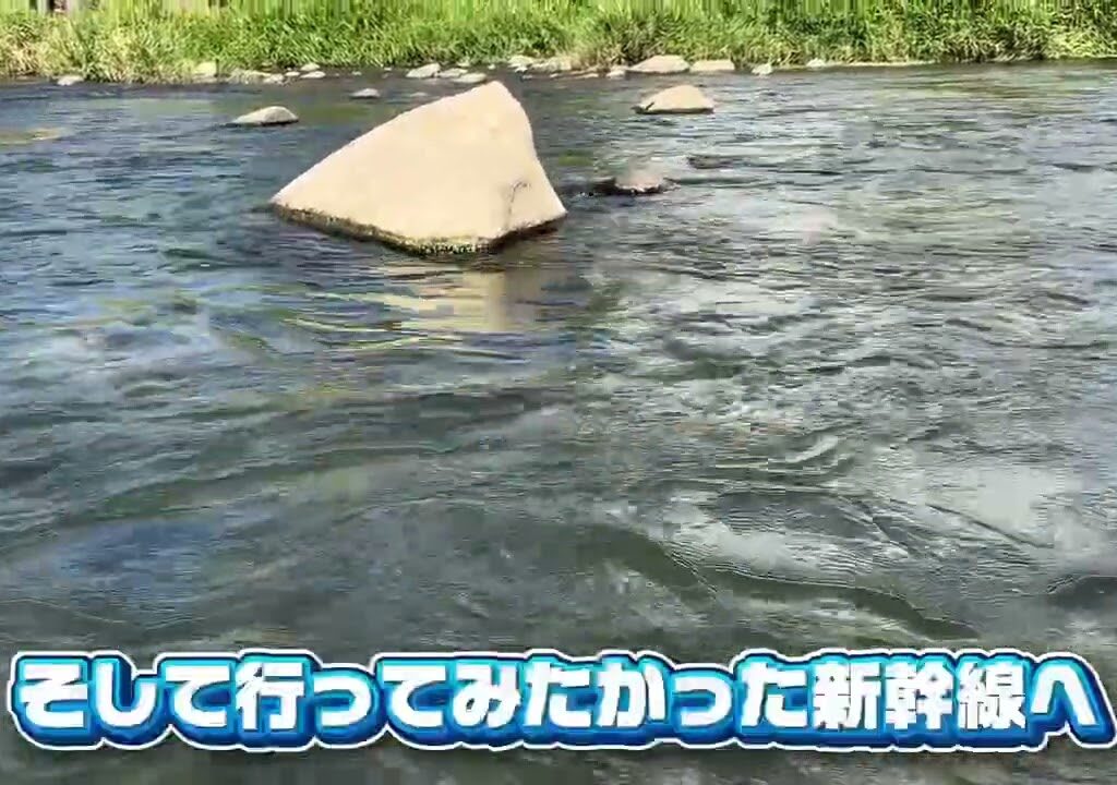 渇水の庄川！鮎は素揚げサイズ！