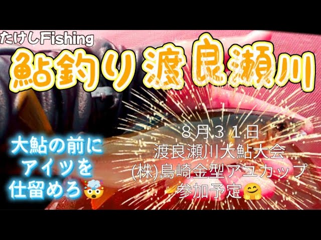 [鮎釣り]来週渡良瀬川初　島崎金型様大鮎大会大鮎前にアイツ叩きます😤