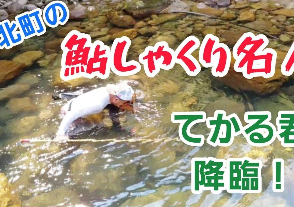 紀北町の鮎しゃくり名人！！てかる君降臨！！