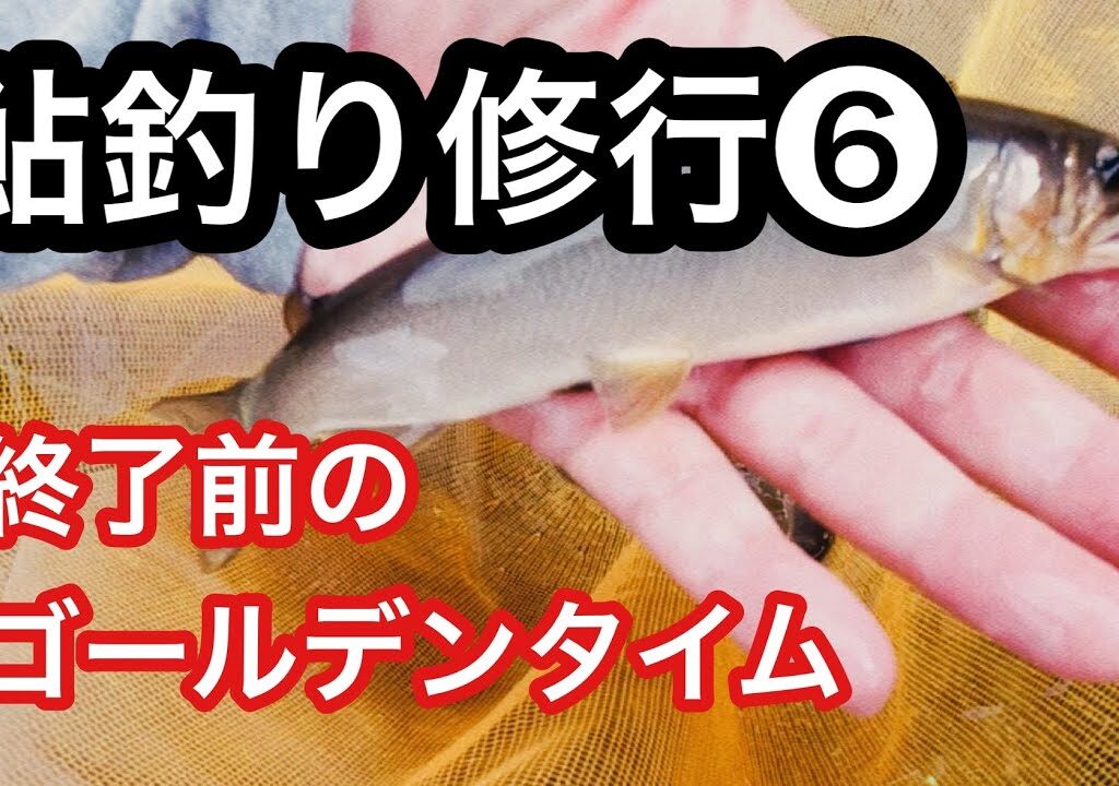 【鮎釣り】終了前に連発してくれました😅