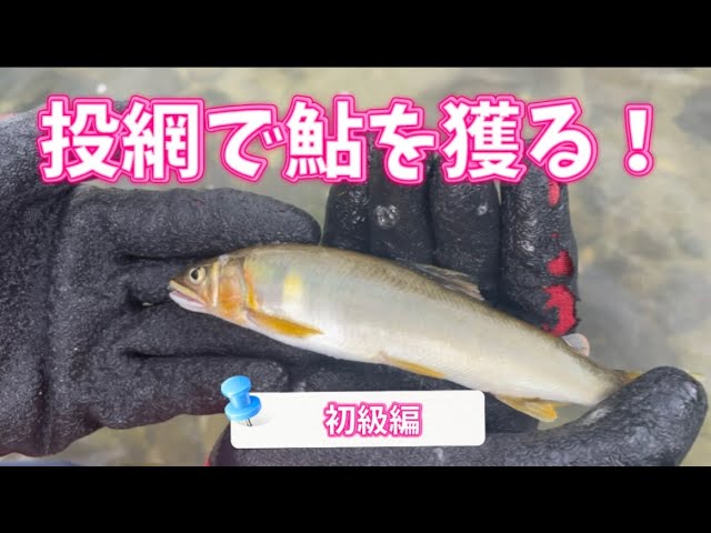 (投網でアユ)初級編　投網の持ち方、投げ方