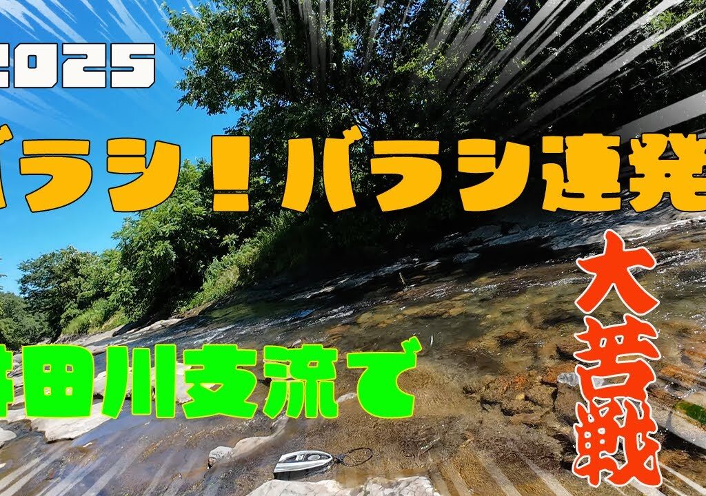 バラシ！バラシ連発！井田川支流で大苦戦！