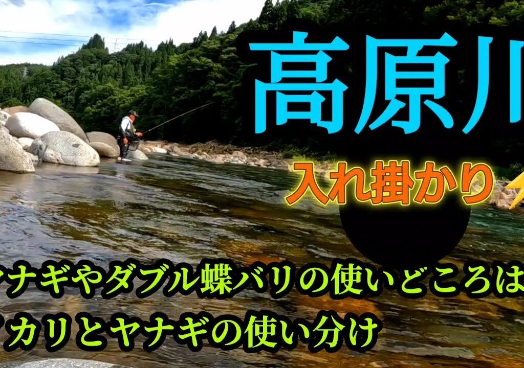 高原川。入れ掛かり!!。イカリ、ヤナギ、ダブル蝶バリの使い分け。