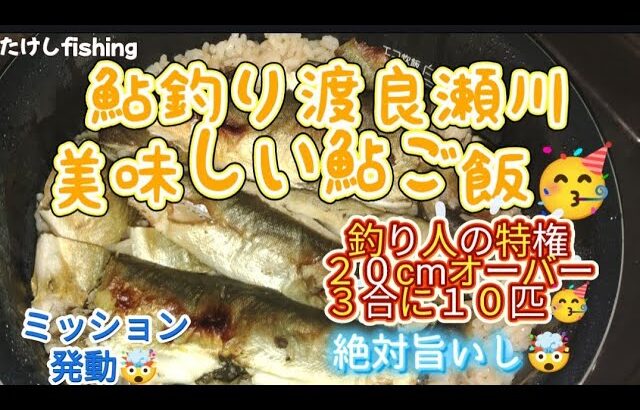 [鮎釣り]渡良瀬川🥳美味しい鮎ご飯作れるかな？🧐水合わせ大事です😓泳がせの時期なりました🤗