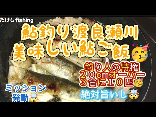 [鮎釣り]渡良瀬川🥳美味しい鮎ご飯作れるかな？🧐水合わせ大事です😓泳がせの時期なりました🤗