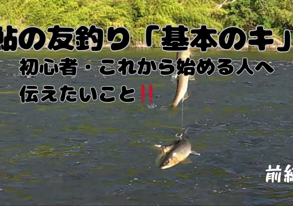 【鮎の友釣り】初心者・これから始める方向けに、鮎釣りの基本をお伝えします。