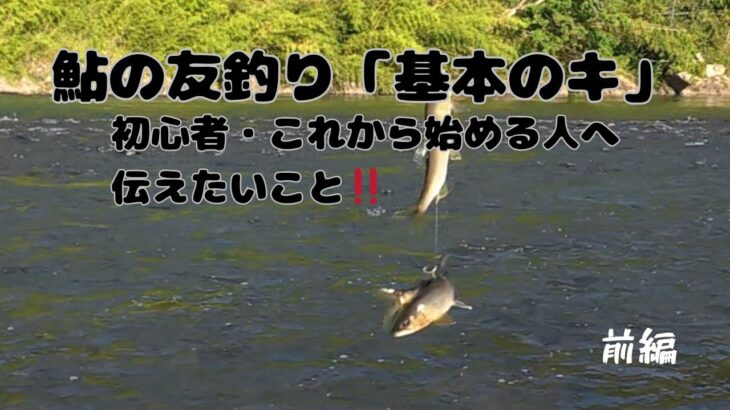 【鮎の友釣り】初心者・これから始める方向けに、鮎釣りの基本をお伝えします。
