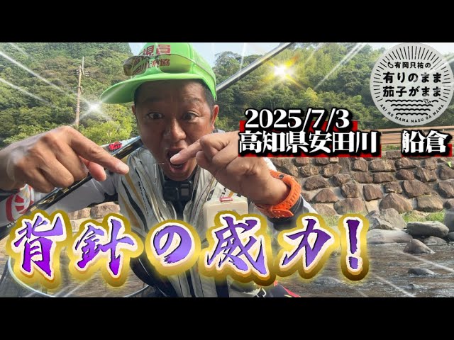 壺釣りは効果絶大！【鮎釣り】