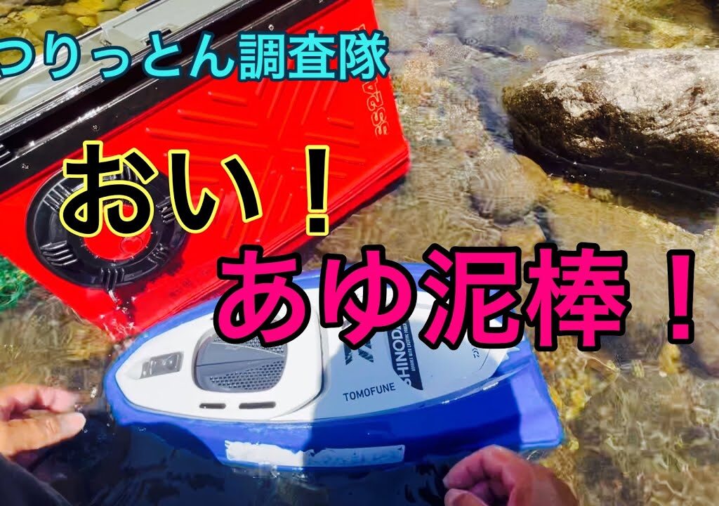 鮎は、盗まないで！