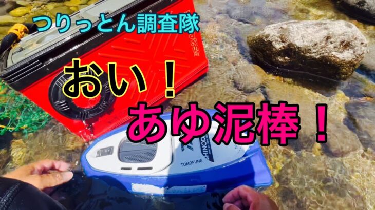 鮎は、盗まないで！