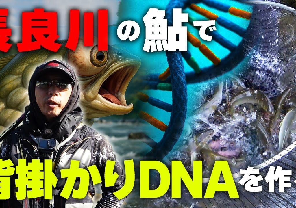 背掛かり率を爆増させる為に最強の鮎を捕まえに行ってきた【鮎釣り】