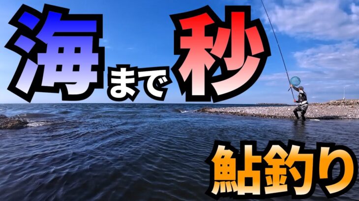 海まで秒の川で鮎の友釣りしたら色々ヤバかった【鮎釣り】