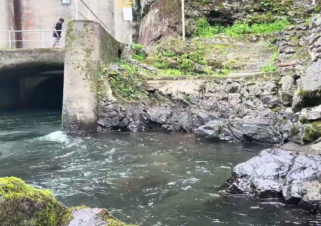 仁淀川で鮎を釣る川魚漁師