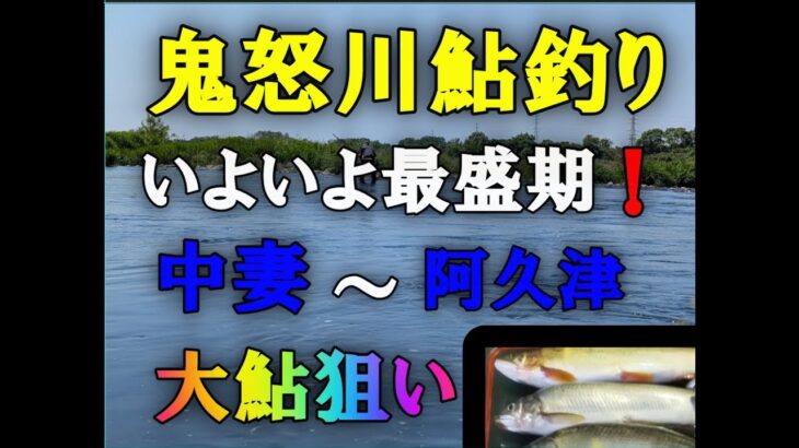 鬼怒川鮎釣り、大鮎狙い！