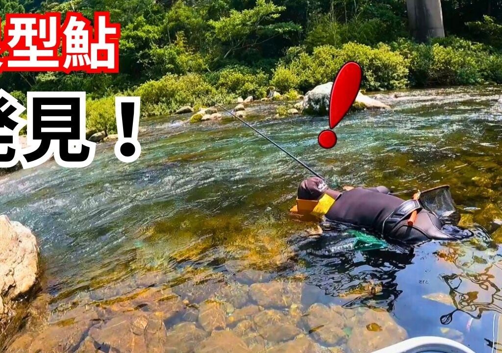 真夏の鮎釣り！水中で良型鮎を引っ掛ける