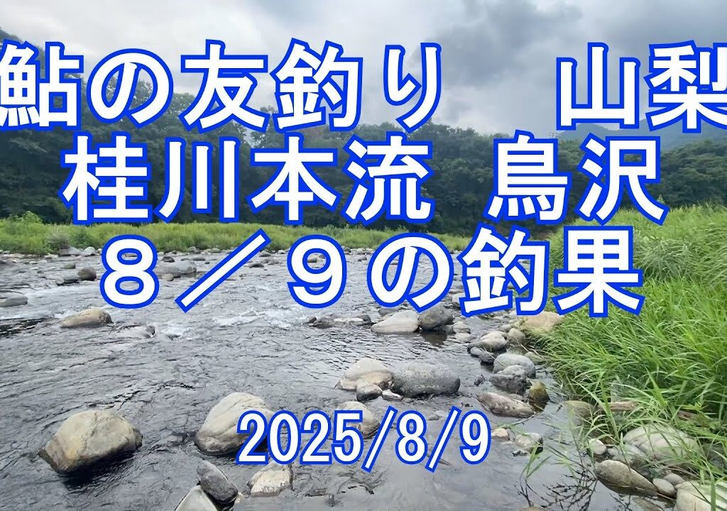 ３連休初日、山梨桂川で鮎の友釣り！鳥沢と松留へ　釣果どうなのよ？