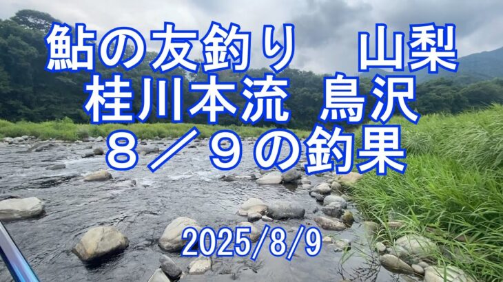 ３連休初日、山梨桂川で鮎の友釣り！鳥沢と松留へ　釣果どうなのよ？