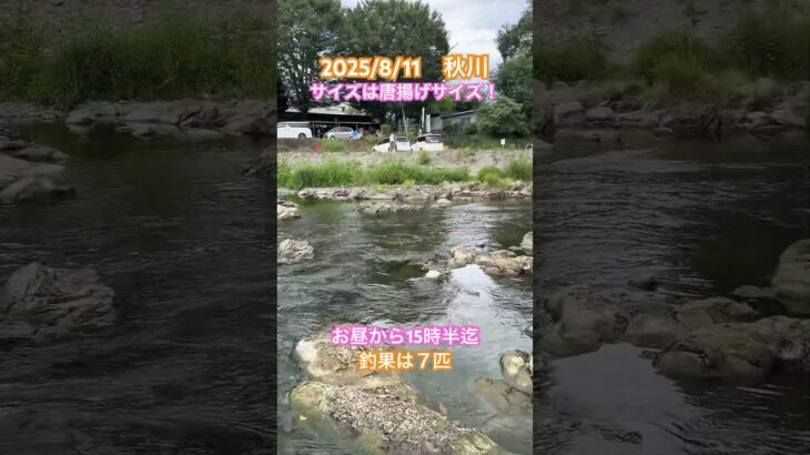 【秋川　鮎釣り】 小峰オトリ店まで下りましたが…釣果はいまひとつ　#あきる野市#秋川漁協#鮎#友釣り#鮎釣り