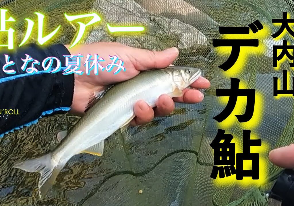 【アユイング】アユルアーで挑む大内山川のデカ鮎 〜三重県 大内山川〜