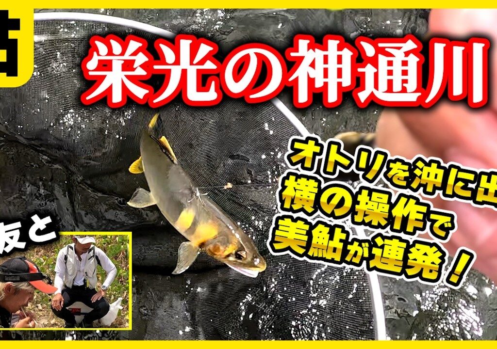 鮎釣り トロ瀬で入れ掛かる「横に出す引き釣り」初心者必見の解説です！富山県神通川で〇匹の大満足釣行