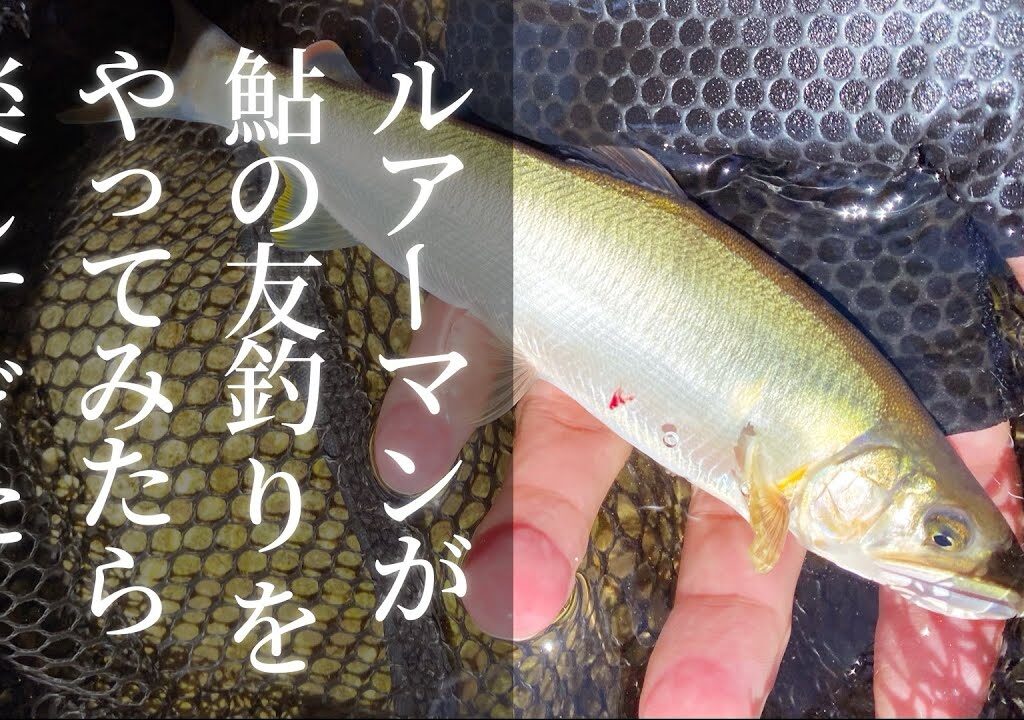 【初心者向け】ルアーマンが鮎の友釣りをやってみたら楽しすぎた！