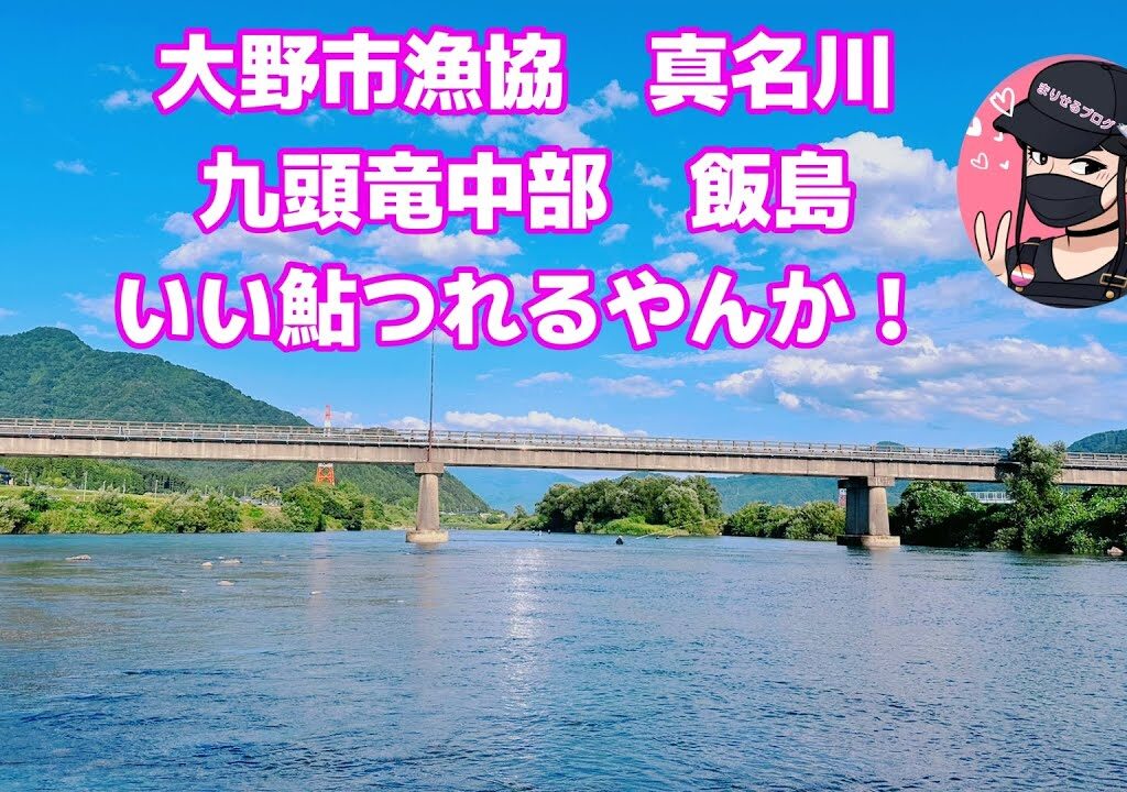 【鮎釣り】いいあゆ釣れるやん！　九頭竜川水系🌟