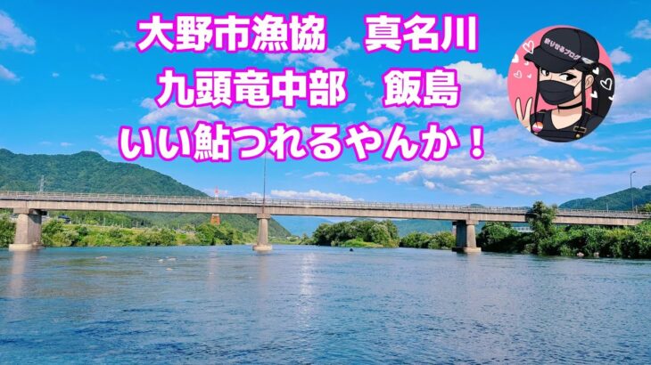 【鮎釣り】いいあゆ釣れるやん！　九頭竜川水系🌟