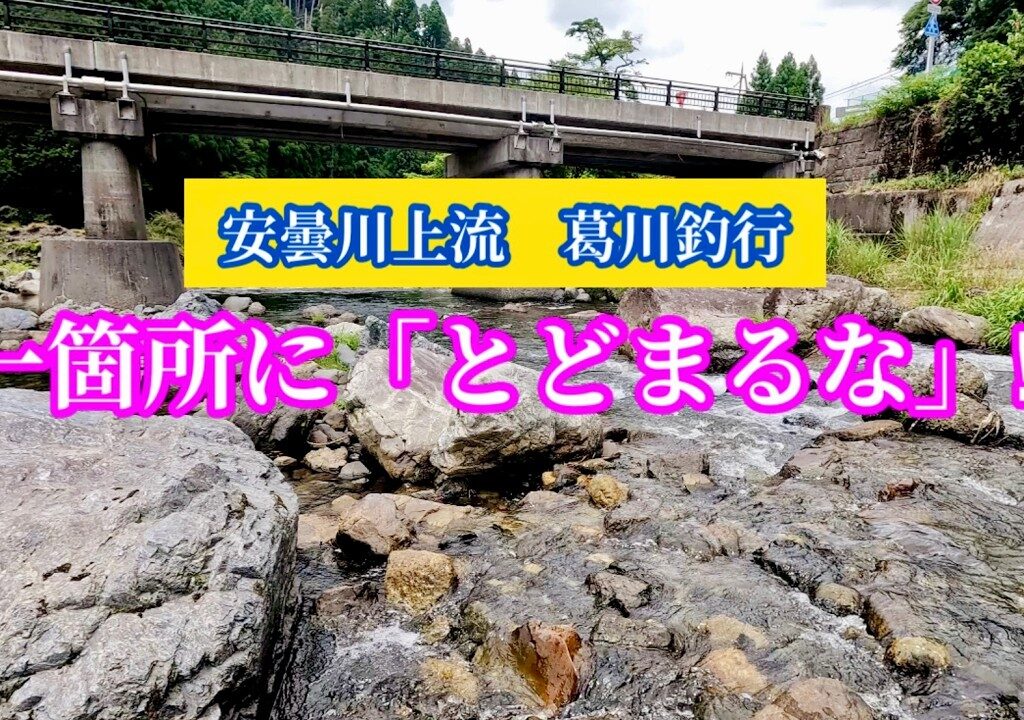 【鮎釣り】葛川リベンジ釣行！苦戦…からのドラマ