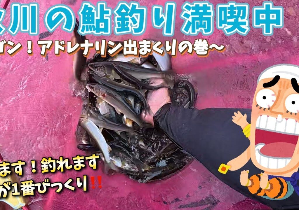 秋川上流域の鮎釣り