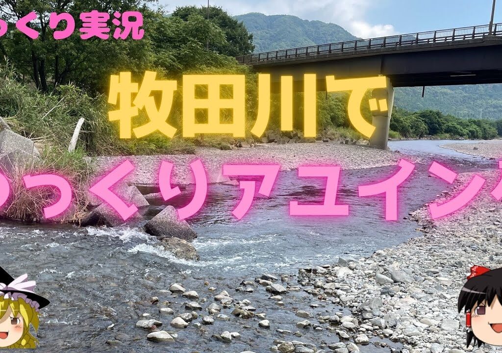 【ゆっくり釣り】【ゆっくり実況】【牧田川アユイング】２０２５年７月３０日岐阜県牧田川でのゆっくりアユイング実況です。