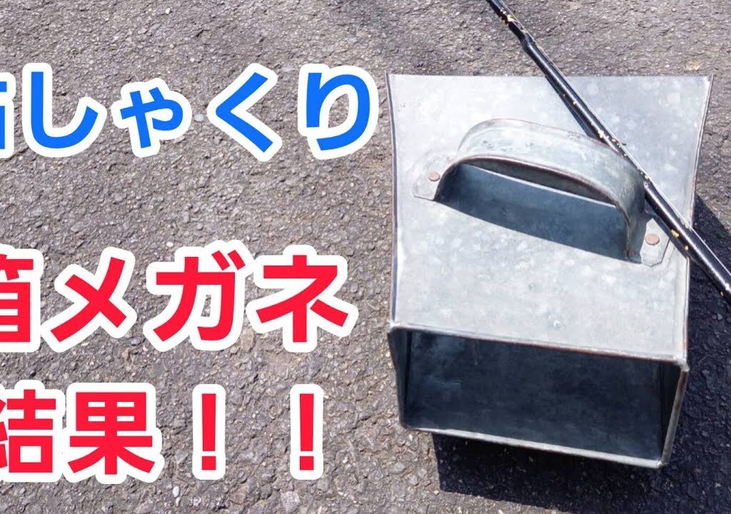 箱メガネで鮎しゃくり！！結果！！