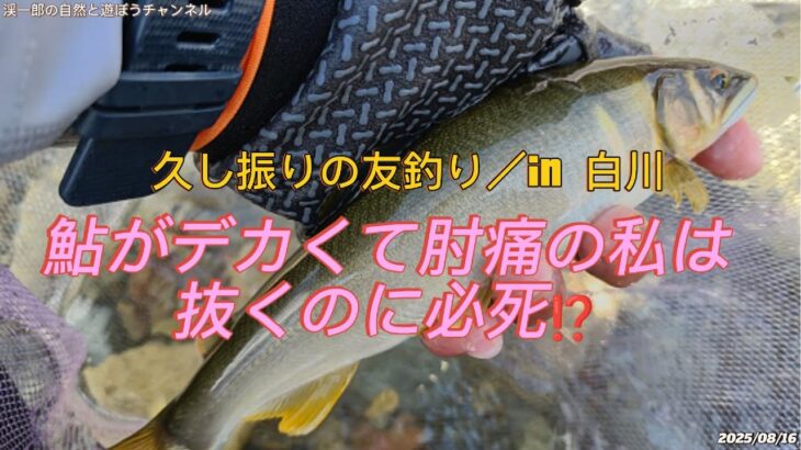 久し振りの白川はデカ鮎で撃沈