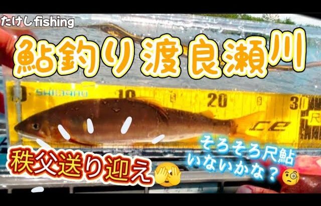[鮎釣り]渡良瀬川　秩父のしげる君と渡良瀬川の鮎とたわむれる🥳渡良瀬橋付近と高速下🧐