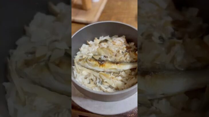 🌿【炊き立て鮎の釜飯‼️(日本)】山里の自然の中で至福の時間✨≫≫≫🌿 【現煮香噴噴的香魚釜飯‼️】山里大自然中幸福時光✨　#和食 #山里料理 #鮎飯　#釜飯 #奥多摩