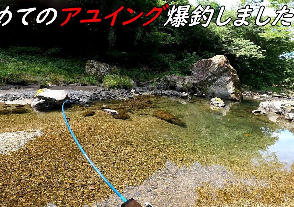 初めての仕掛けで爆釣！！！アユイング！！