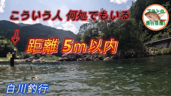 白川釣行 近いって！迷惑行為に気付いてください