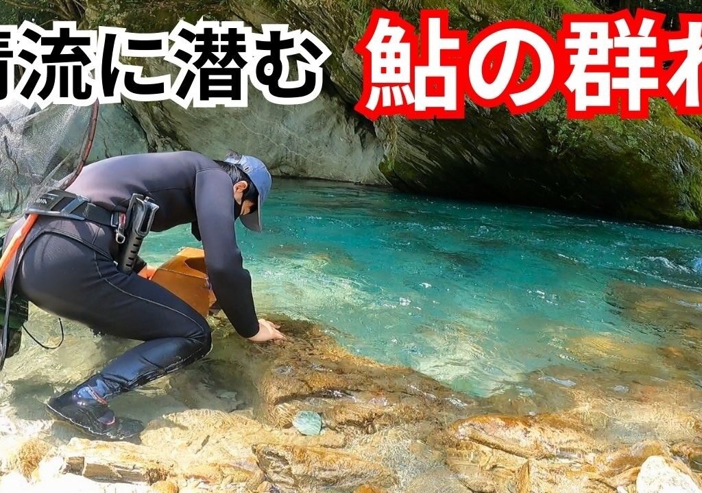 透明度が高すぎる清流で水中の鮎を追う