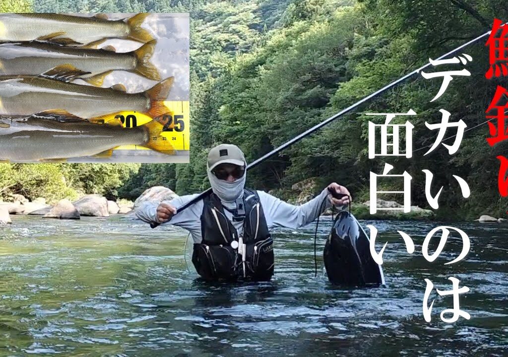 鮎釣り スキルアップするためデカ鮎を釣る／馬瀬川下流