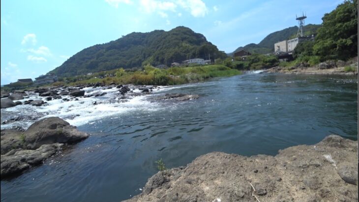 鮎釣りの聖地・狩野川にスモールはいるのか釣査　静岡・伊豆バス釣り
