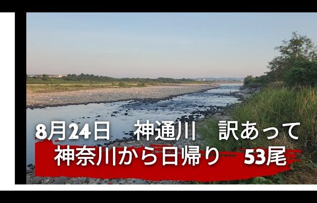 天然チビわんさか‼️