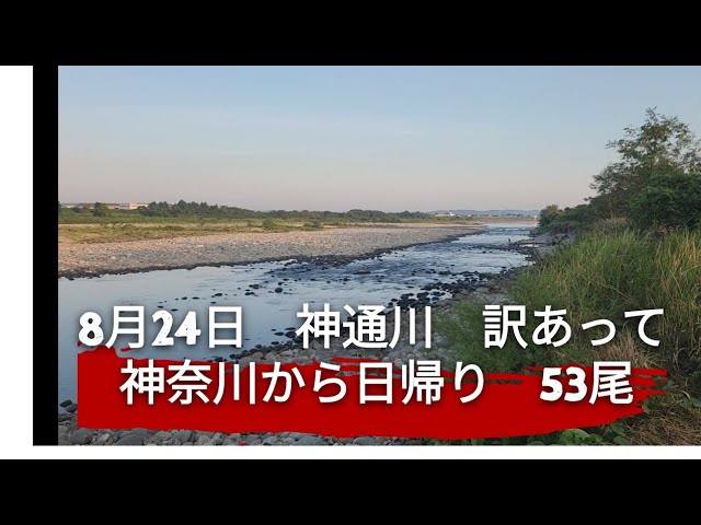 天然チビわんさか‼️