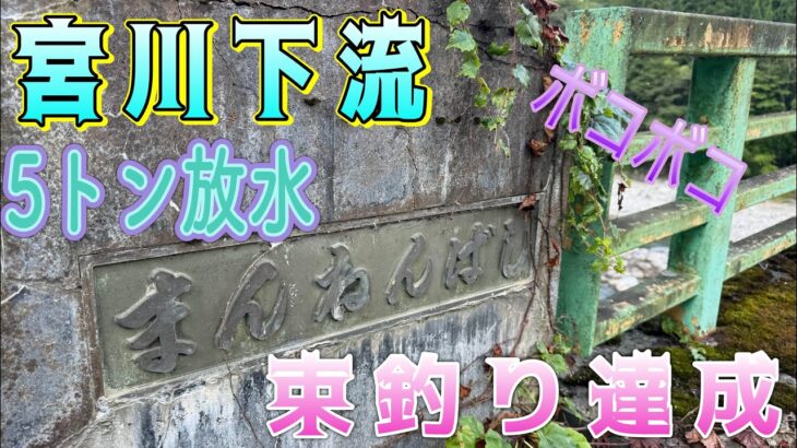 宮川下流　束釣り達成