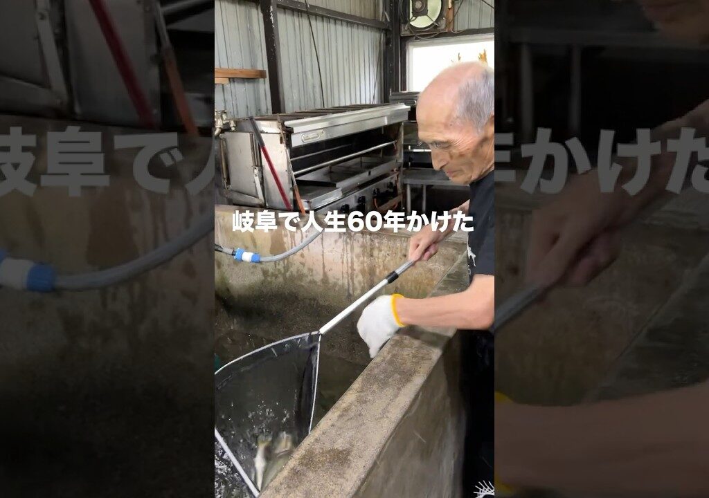 味が売りの岐阜にある鮎料理専門店が最高すぎた【岐阜　鮎料理ひらい】 #youtubeshorts #岐阜グルメ